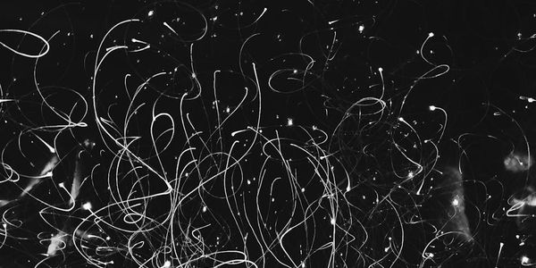 Dynamic abstract light trails suggesting movement.