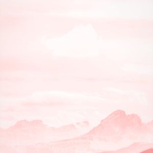 Peaceful natural scenery with soft lighting.